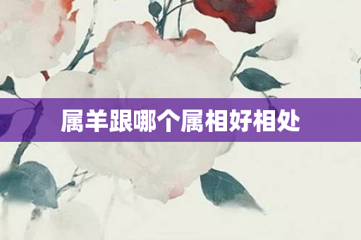 属羊跟哪个属相好相处