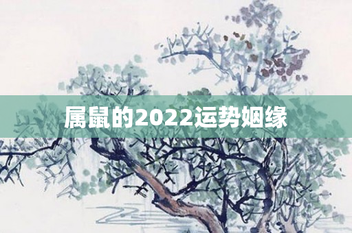 属鼠的2022运势姻缘
