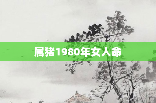 属猪1980年女人命