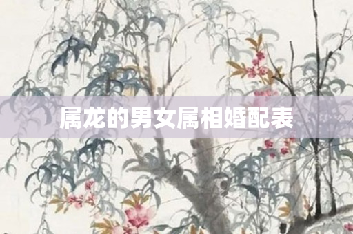 属龙的男女属相婚配表