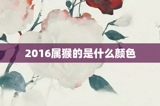 2016属猴的是什么颜色