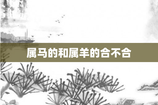 属马的和属羊的合不合