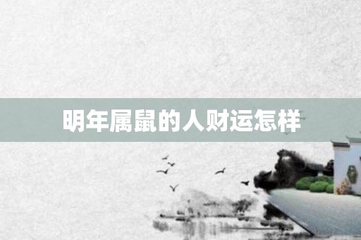 明年属鼠的人财运怎样