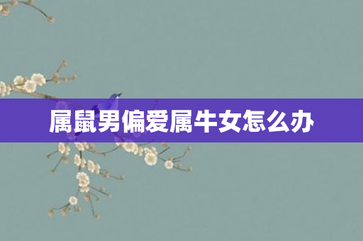 属鼠男偏爱属牛女怎么办