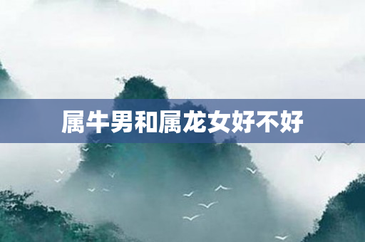 属牛男和属龙女好不好