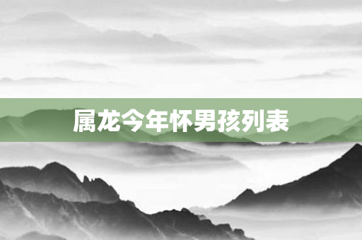 属龙今年怀男孩列表