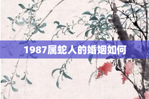 1987属蛇人的婚姻如何