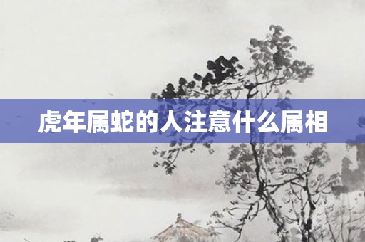 虎年属蛇的人注意什么属相