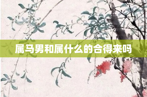 属马男和属什么的合得来吗