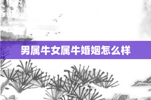 男属牛女属牛婚姻怎么样