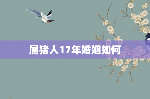 属猪人17年婚姻如何