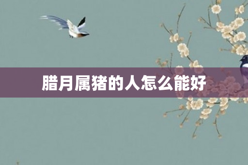 腊月属猪的人怎么能好