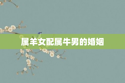 属羊女配属牛男的婚姻