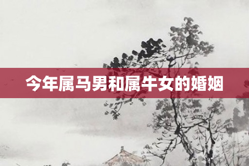 今年属马男和属牛女的婚姻