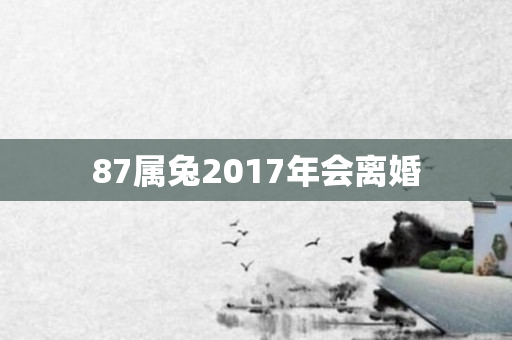 87属兔2017年会离婚