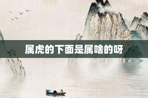 属虎的下面是属啥的呀