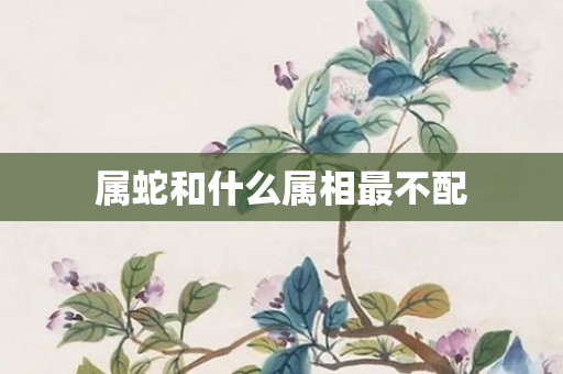 属蛇和什么属相最不配