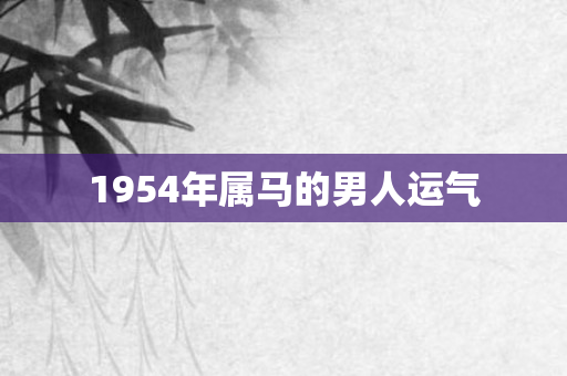 1954年属马的男人运气