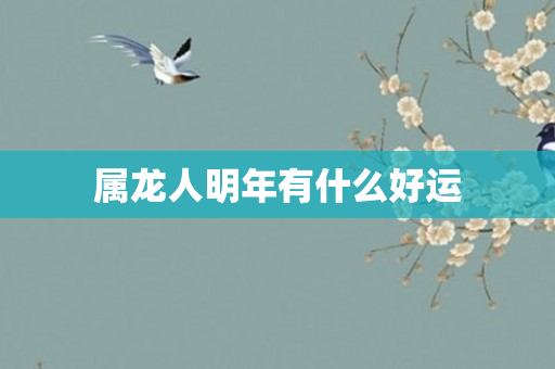 属龙人明年有什么好运