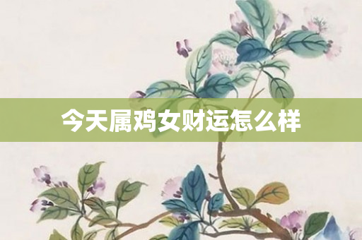 今天属鸡女财运怎么样