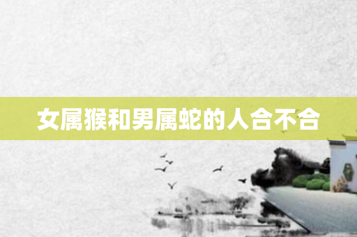 女属猴和男属蛇的人合不合