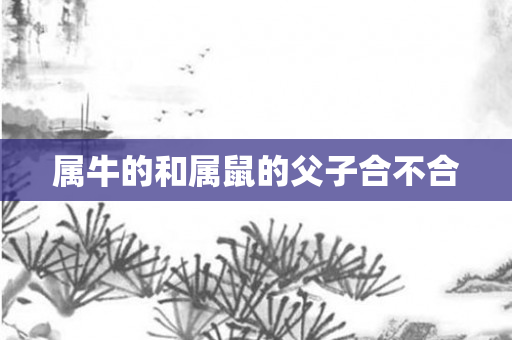 属牛的和属鼠的父子合不合