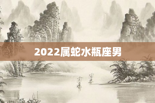 2022属蛇水瓶座男