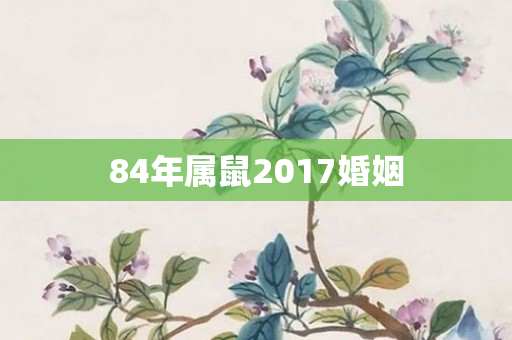 84年属鼠2017婚姻