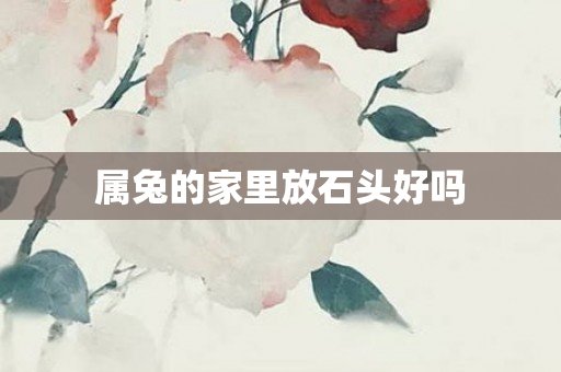 属兔的家里放石头好吗