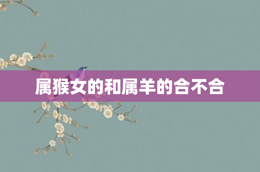 属猴女的和属羊的合不合