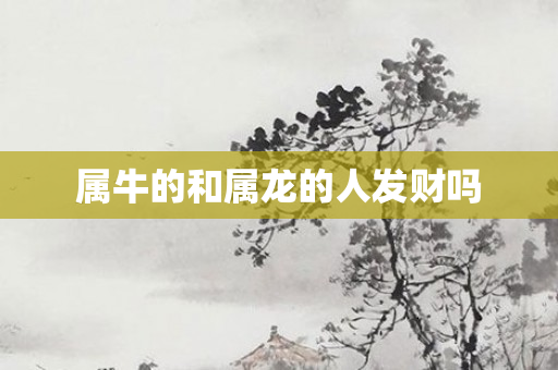 属牛的和属龙的人发财吗