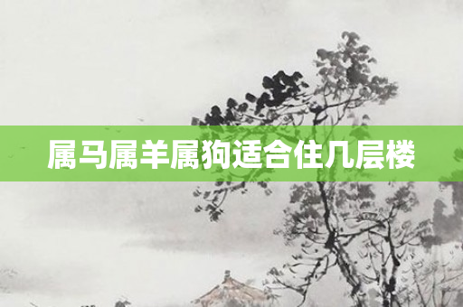 属马属羊属狗适合住几层楼