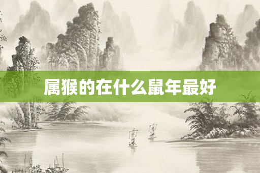 属猴的在什么鼠年更好