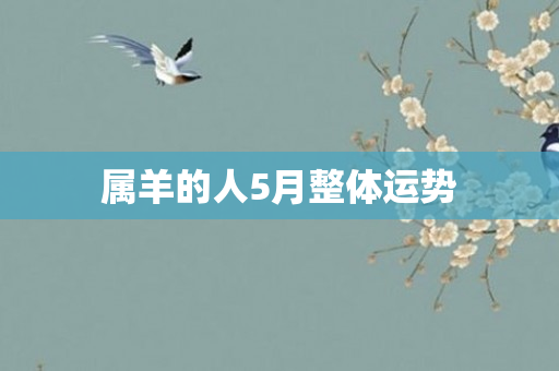 属羊的人5月整体运势