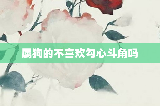 属狗的不喜欢勾心斗角吗