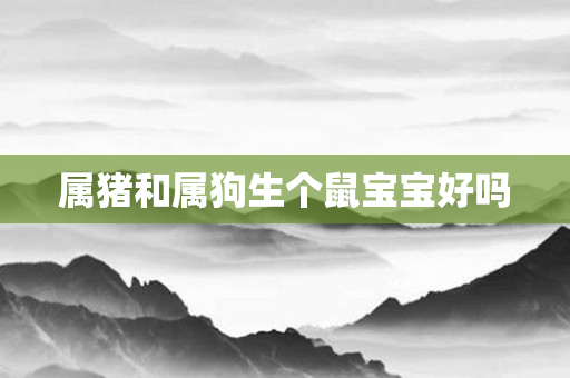 属猪和属狗生个鼠宝宝好吗