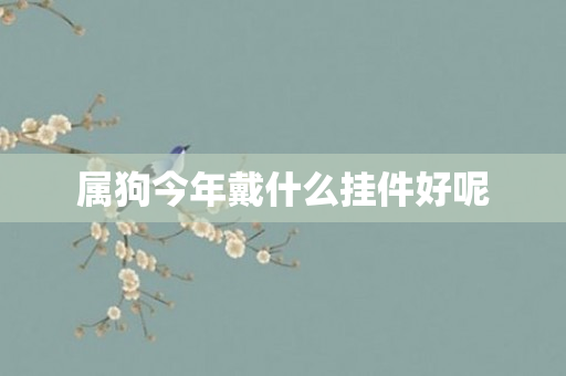 属狗今年戴什么挂件好呢