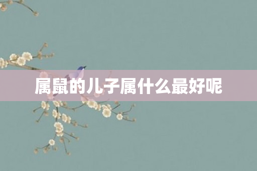 属鼠的儿子属什么更好呢