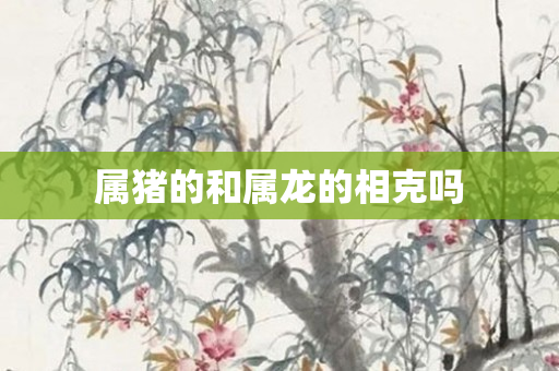 属猪的和属龙的相克吗