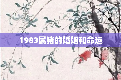 1983属猪的婚姻和命运