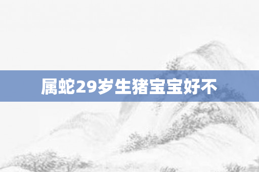 属蛇29岁生猪宝宝好不
