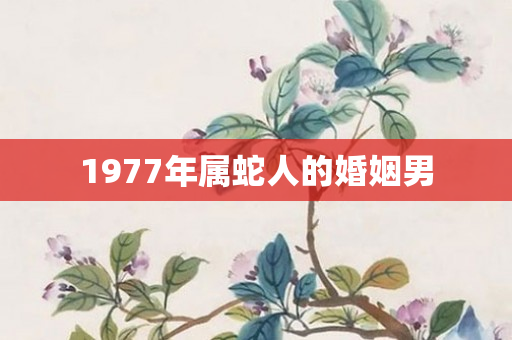 1977年属蛇人的婚姻男