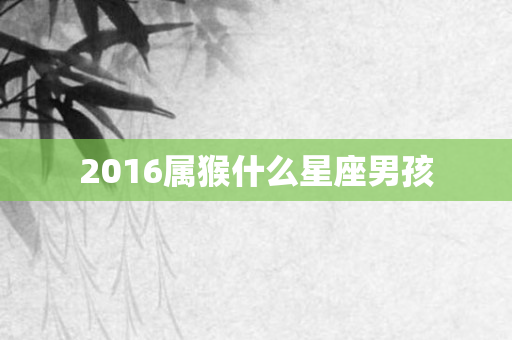 2016属猴什么星座男孩