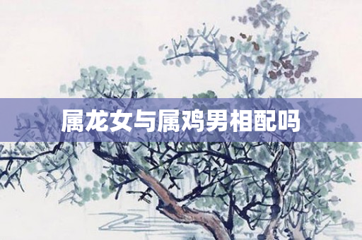 属龙女与属鸡男相配吗