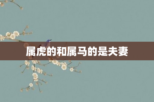 属虎的和属马的是夫妻
