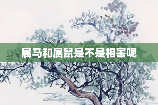 属马和属鼠是不是相害呢