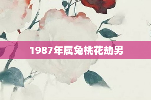 1987年属兔桃花劫男