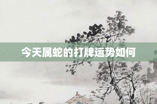 今天属蛇的打牌运势如何