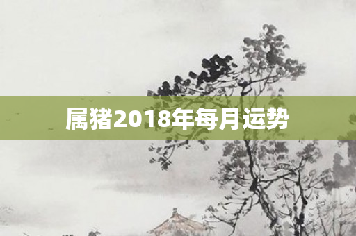 属猪2018年每月运势