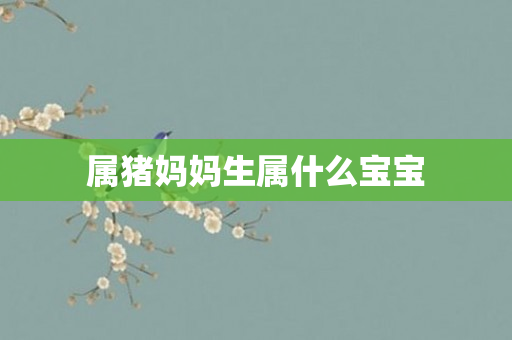 属猪妈妈生属什么宝宝
